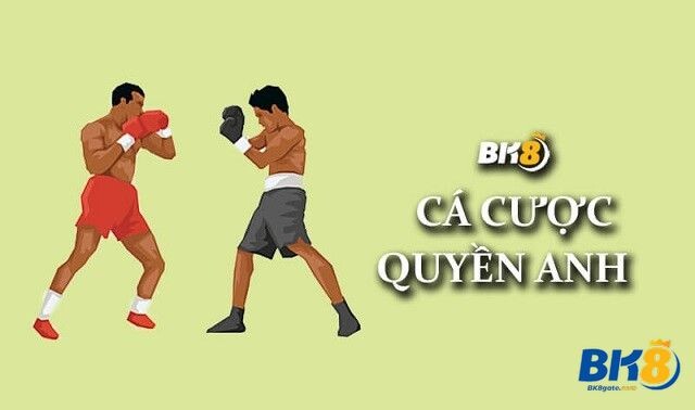 Sản phẩm cá cược boxing đã có mặt tại nhà cái BK8