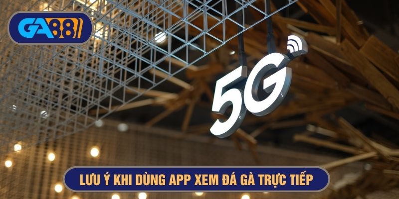 lưu ý khi dùng app đá gà